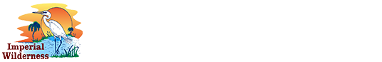 Imperial Wilderness